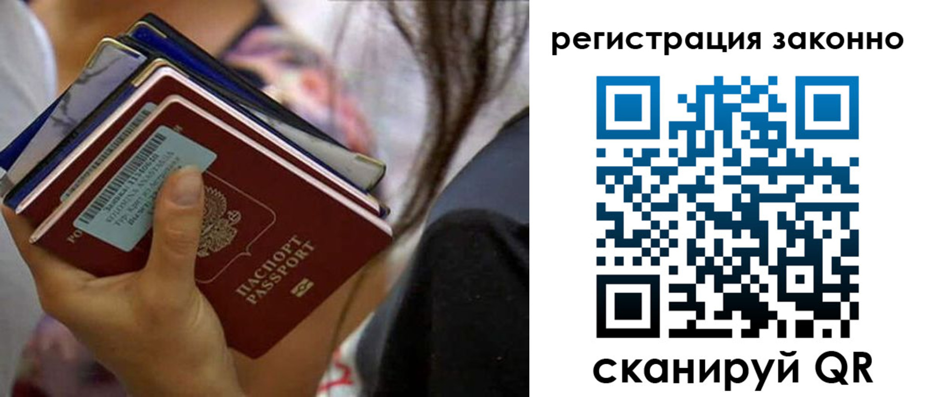 прописка в Светлом